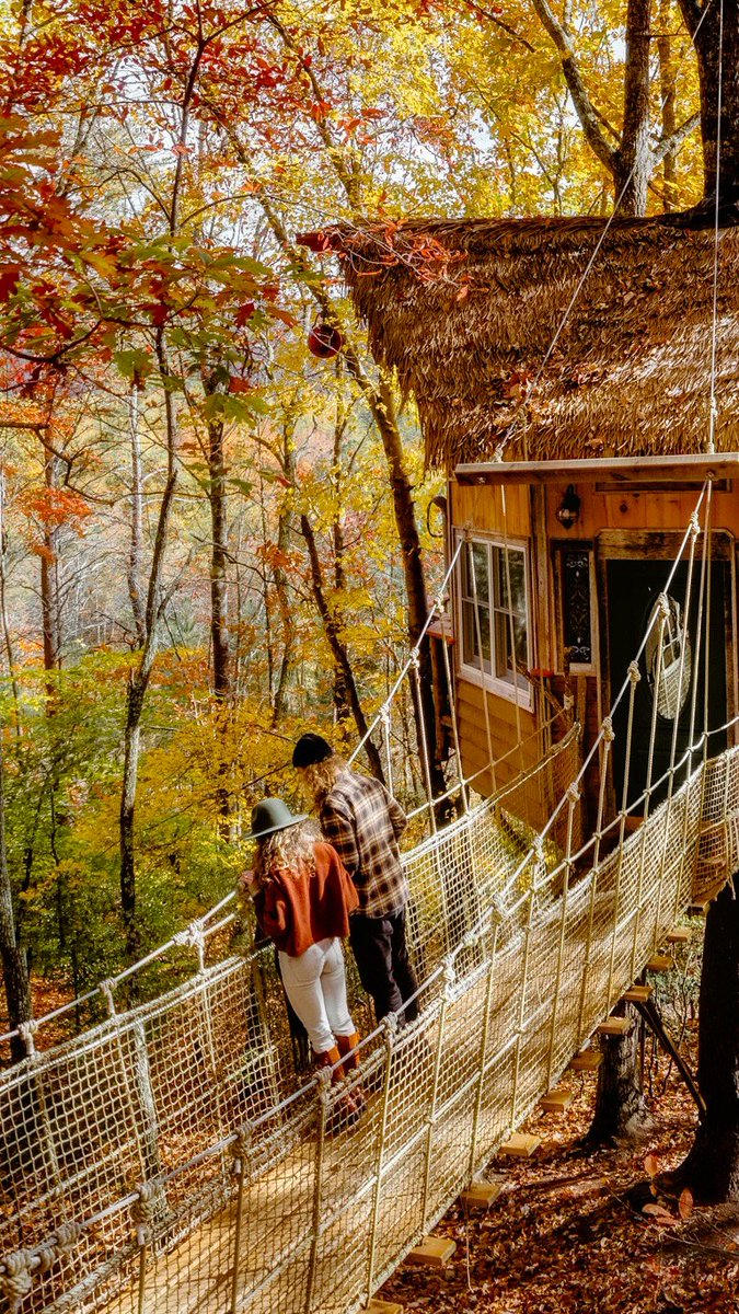TreehousesTN's tweet photo. Wrapped in nature’s calm. This treehouse escape is the perfect place to unplug, recharge, and reconnect with nature. Contact @TreehousesTN for a beautiful  experience https://t.co/cd5qfSZrL0
