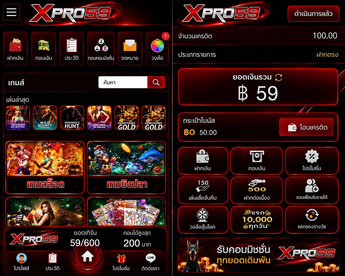XPRO59 แจกทุนฟรี tweet media