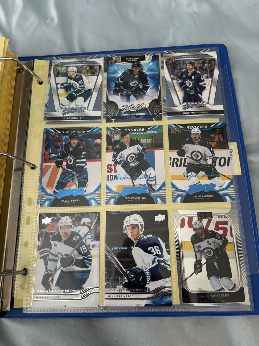 foolsconvos's tweet photo. winnipeg jets #GoJetsGo #NHLJets https://t.co/PMKhWxSSso