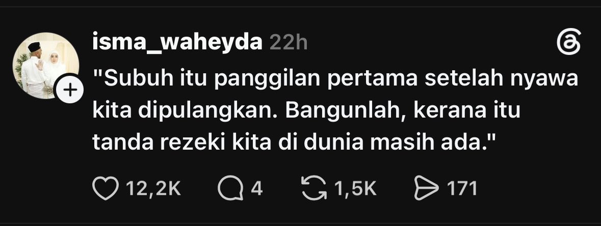 nine🐻 tweet media