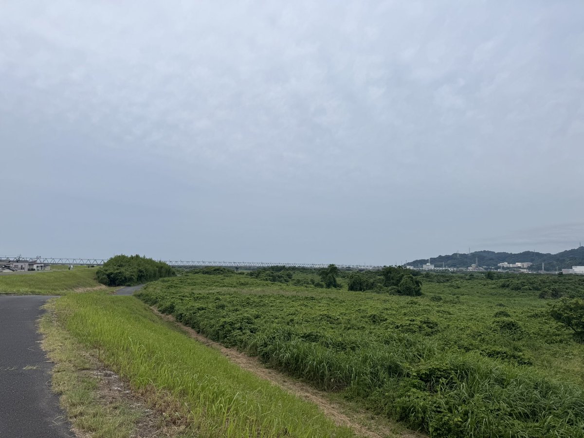 account0417's tweet photo. 今朝はランニング🏃‍♂️
曇ってたけど走るには良い気温だった☀️ https://t.co/atb6xBADSc