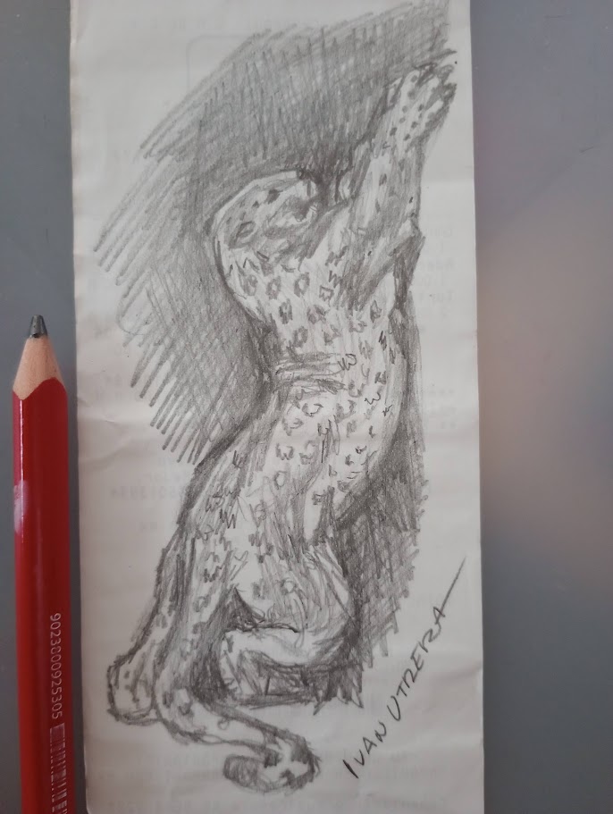 ivanutrera's tweet photo. leopardo a lapiz https://t.co/7Ctim9qppU
