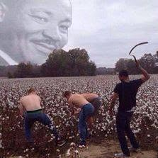 LankshaD's tweet photo. Random picture drop. https://t.co/bYP5b1fYJQ