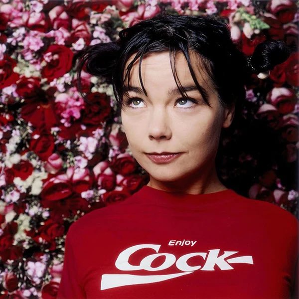 maylikesmu51c's tweet photo. björk 1996: enjoy cock
björk 2026: enjoy puss https://t.co/FnydsVU519
