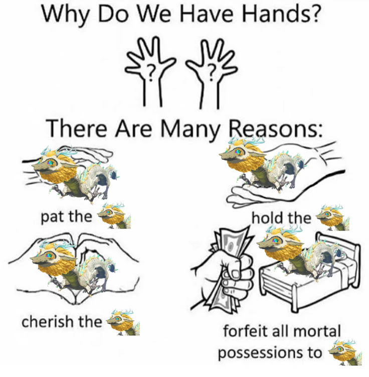 Happy_Bullets's tweet photo. Why do we have hands? Well, it is quite simple, really https://t.co/RSiG0EWtN8