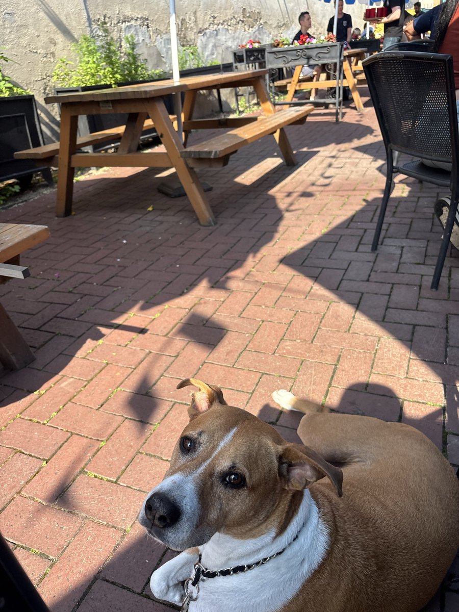 DSchwartz024's tweet photo. Another beer?   Alright cool. https://t.co/2ZjLOO5edB