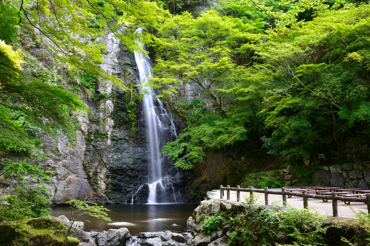 UnseenJapanSite's tweet photo. Minoh Waterfall, one of Japan's Top 100 Waterfalls, is just a 45-minute walk from Hankyu Minoh Station through a forested river valley lined with maple trees, snack shops, and small temples. https://t.co/ZMbaTaCEho