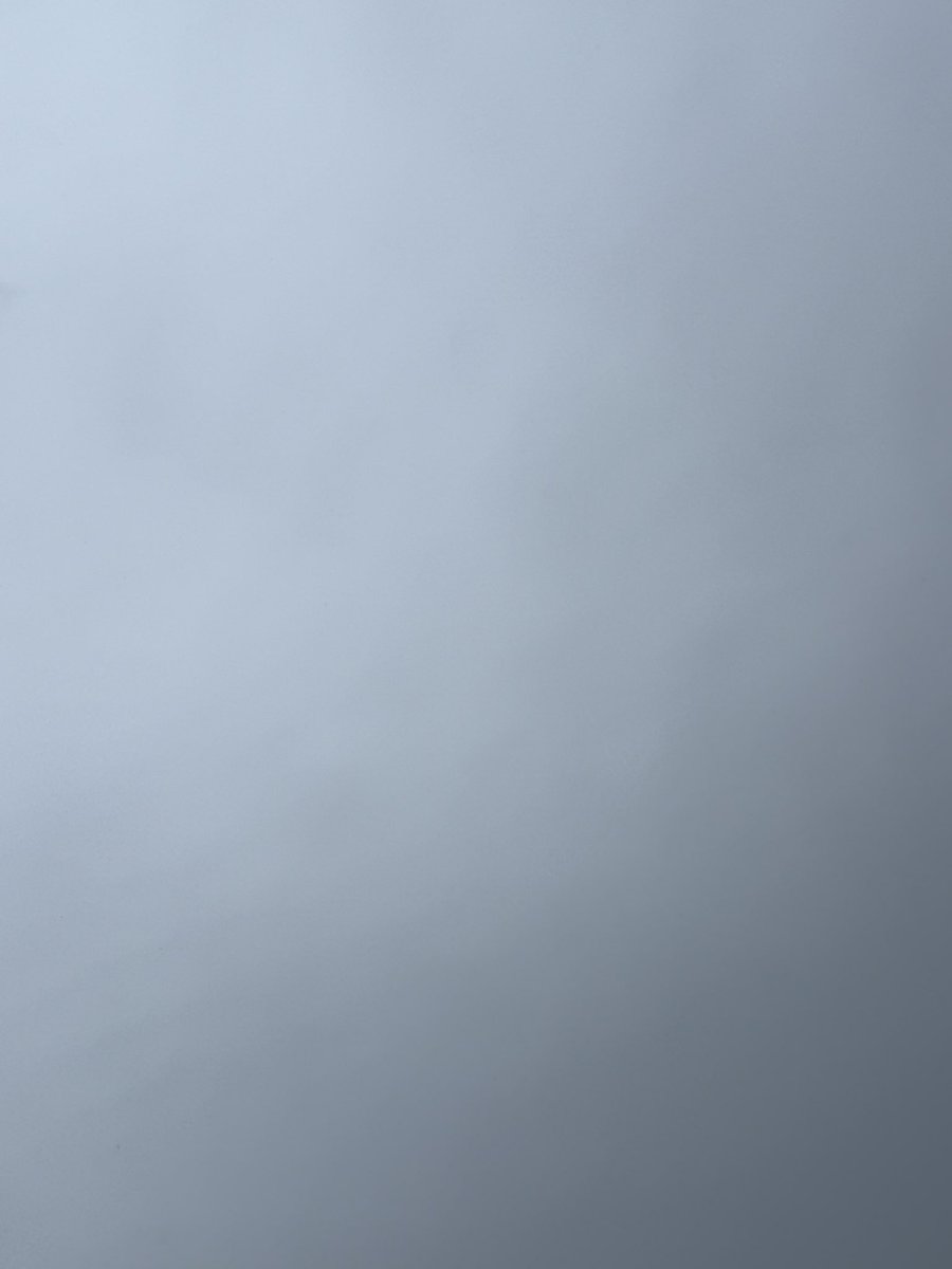 golfaloha's tweet photo. おはようございます！雨の朝です☂️

さあ！今日も最高に素晴らしい1日になりますね！

今日という日は
何がなんでも生きたかった人の明日

今日1日を全力で！
今日1日を楽しんで！
今日1日を諦めない！

今日1日を大切に！ https://t.co/DxtBWoo2PY