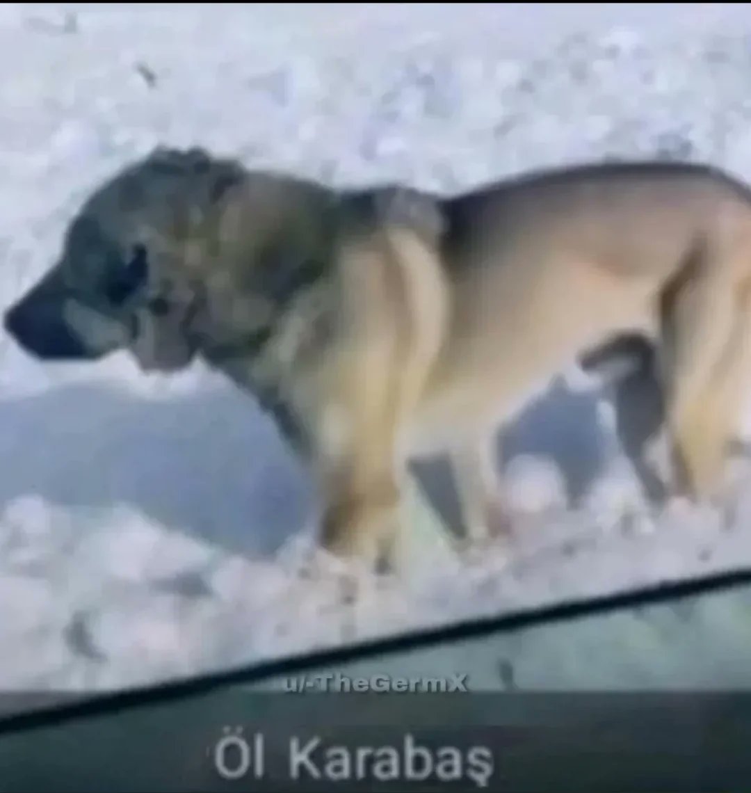 abdulalc's tweet photo. Seçimi manipüle edip safiye kazandırmaya çalıştılar 2 aydır siyaset yapar gibi başkan tartışıyorlar insanlara düşünme fırsatı vermediler. 
Safinin anlaştık dediği oyuncular bir bir yalanladı. 
Leaonun kardeşi 800bin euro karşılığında yorum yazdıklarını söyledi. Utanıyom muhtaçlar https://t.co/6TR6SCgWzo