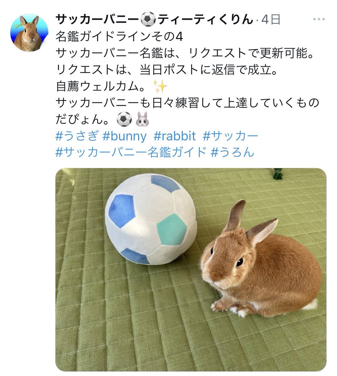 t2_krn's tweet photo. @ryu_sugahara サッカーバニーのガイドライン作ってます https://t.co/QWOr6Xdvm2