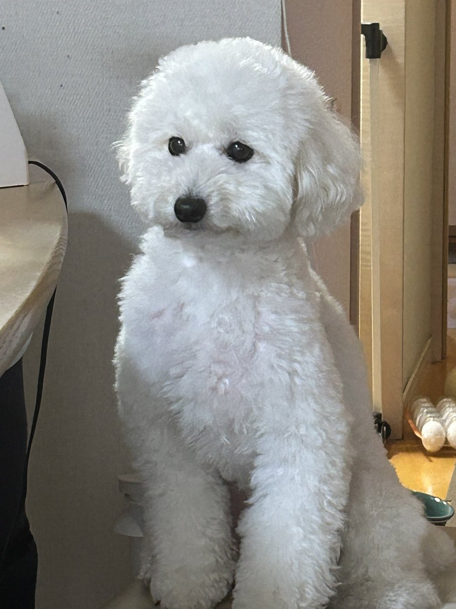 utinotaro's tweet photo. それはなんかしようと思ってた顔だな！ https://t.co/l5eZqwggpU