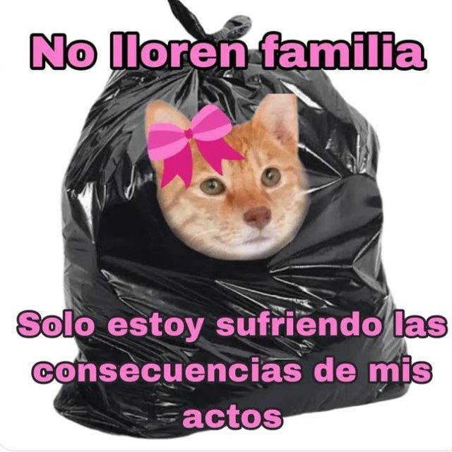 vhbehr's tweet photo. @MorrasOutOfCont Sí https://t.co/YAjaoAv5Q1