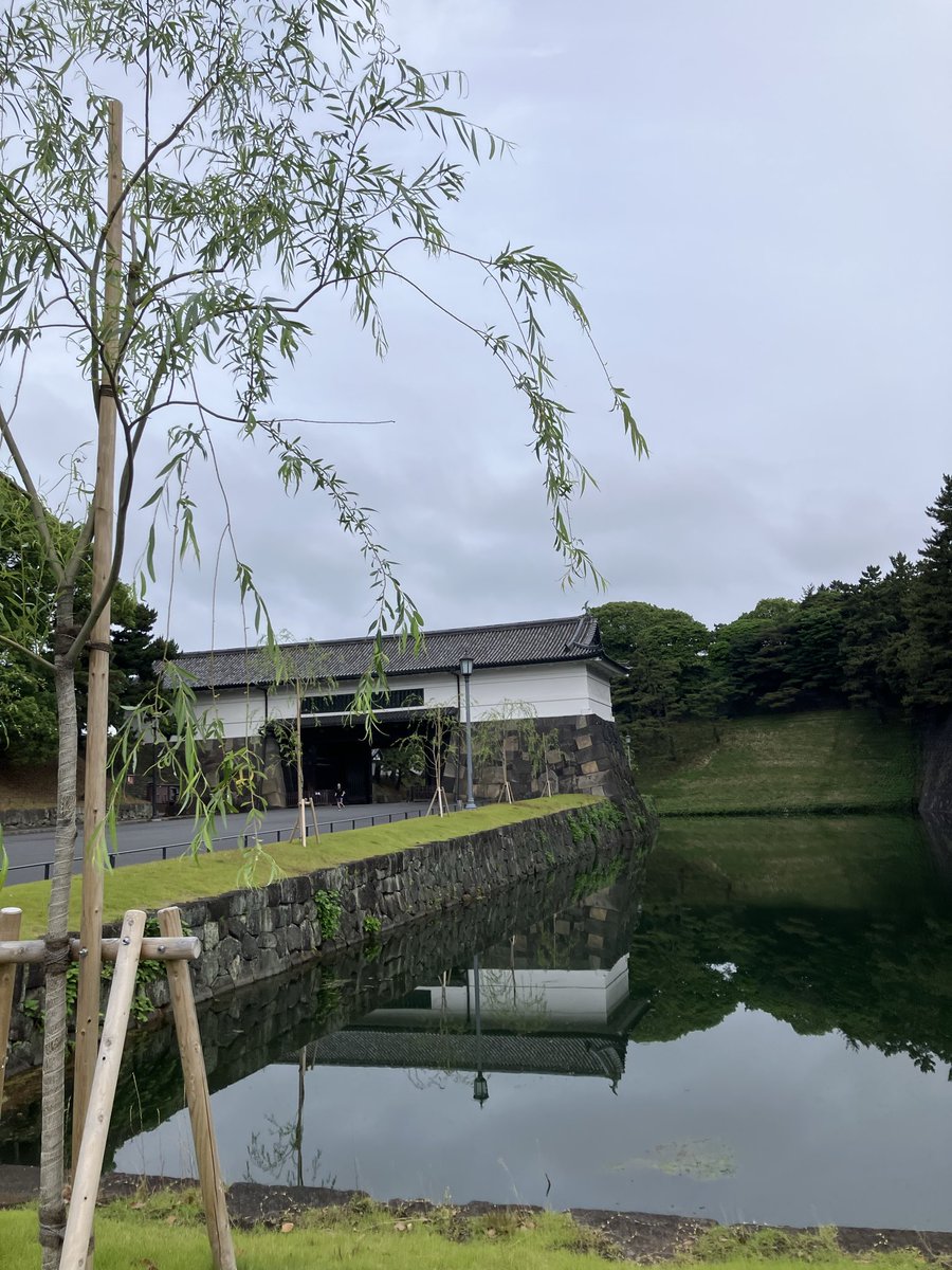 majeben's tweet photo. 朝ラン　皇居ラン　気持ちよくのんびり走れました☺️

あと1日、日本理学療法士協会の総会に参加してきます

#朝ラン #理学療法士 #皇居ラン #ランナー #気持ちがいい https://t.co/EjkJJHZeOD