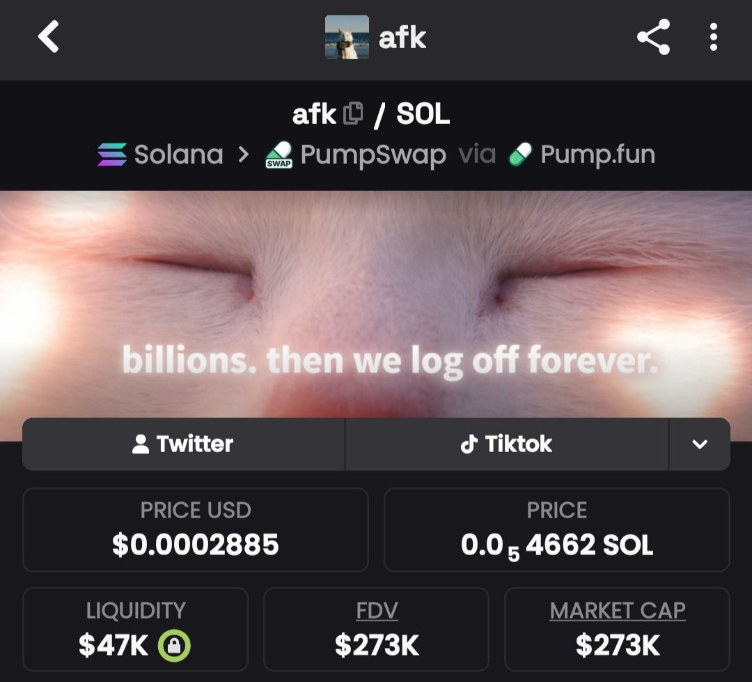 hodgioa's tweet photo. Its $afk szn. Dex updates live, news cycle loading, everyone shooting shots. I aped. Hold or get left.

#solana #catisafk https://t.co/ddquUG1V4p