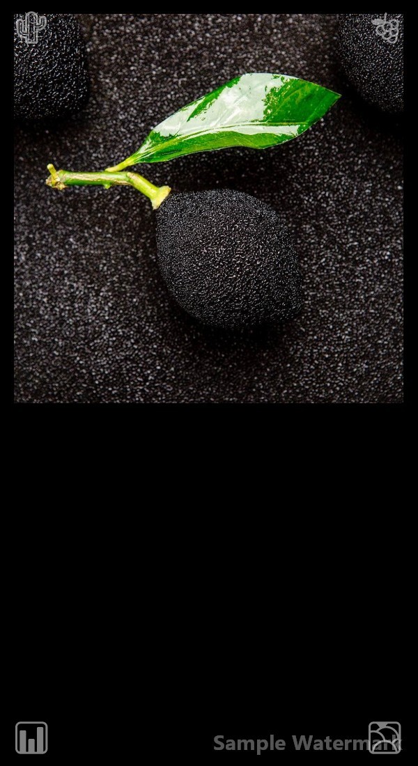 19intima's tweet photo. Have faith in the journey, even when results aren't visible. Courageous spirits triumph over numerous tough struggles. The newly harvested kiwis of mid-autumn offer a perfect blend of sweetness and tartness, featuring a silky and soft texture. As a highly nutritious seasonal fru https://t.co/udOQeGvKUV