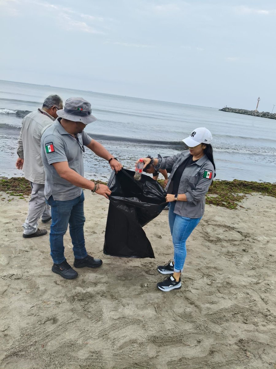 ConaguaOCGCtro's tweet photo. Conmemoramos el Día de la Marina Nacional, participando en la jornada de limpieza de playas y monitoreo ambiental organizada por la Fundación Rapaz Rescate de los Ecosistemas y la Fauna A.C.

Sumamos esfuerzos para promover la conservación de nuestros ecosistemas costeros 🌊🌱 https://t.co/CtLS8ROvqY