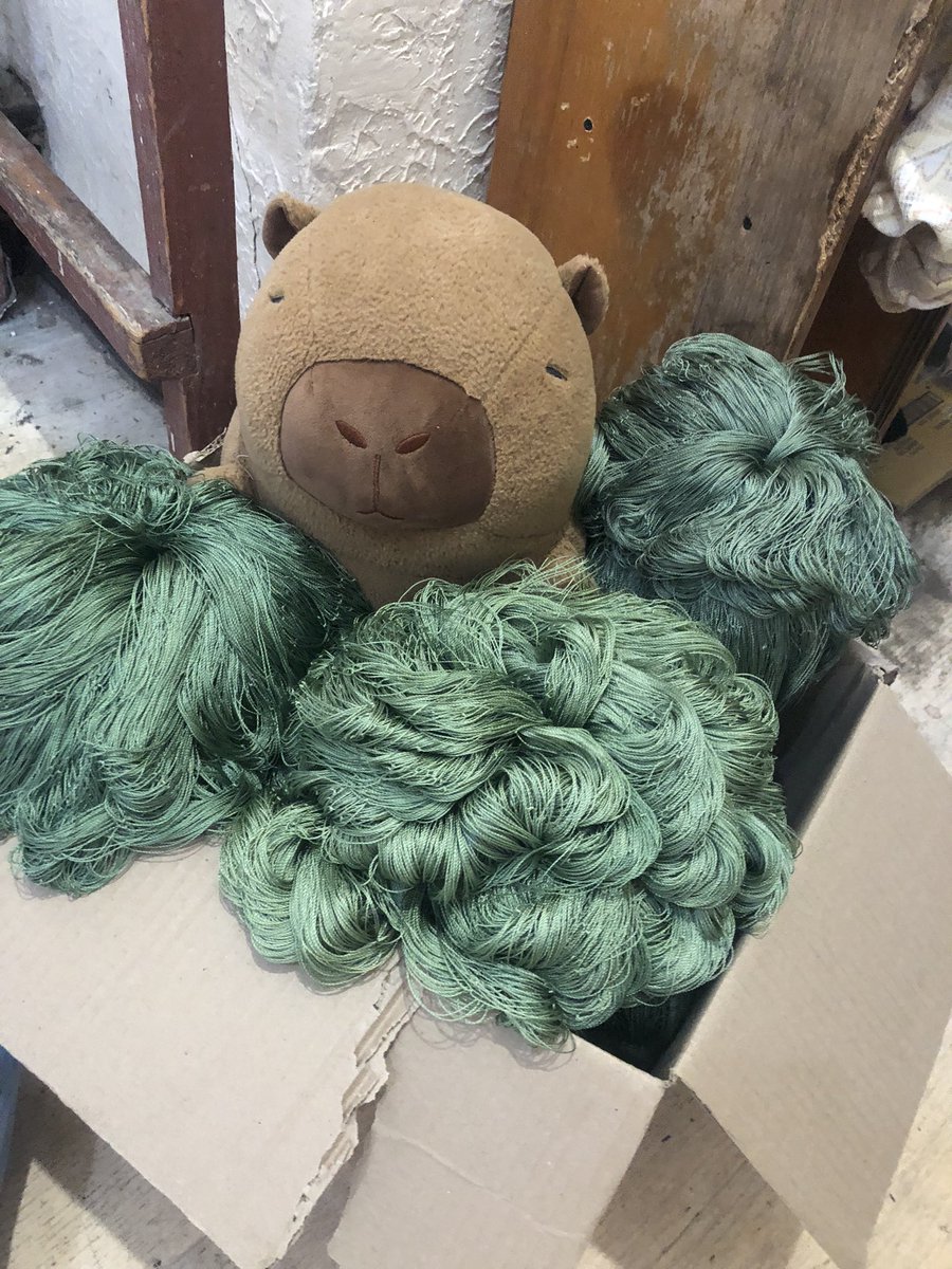 coastoflife_od's tweet photo. Dear @greenfella36, instead flowers we send you this capy with green💚🕸️!  
Happy Birthday! https://t.co/WWNRJFhPHz