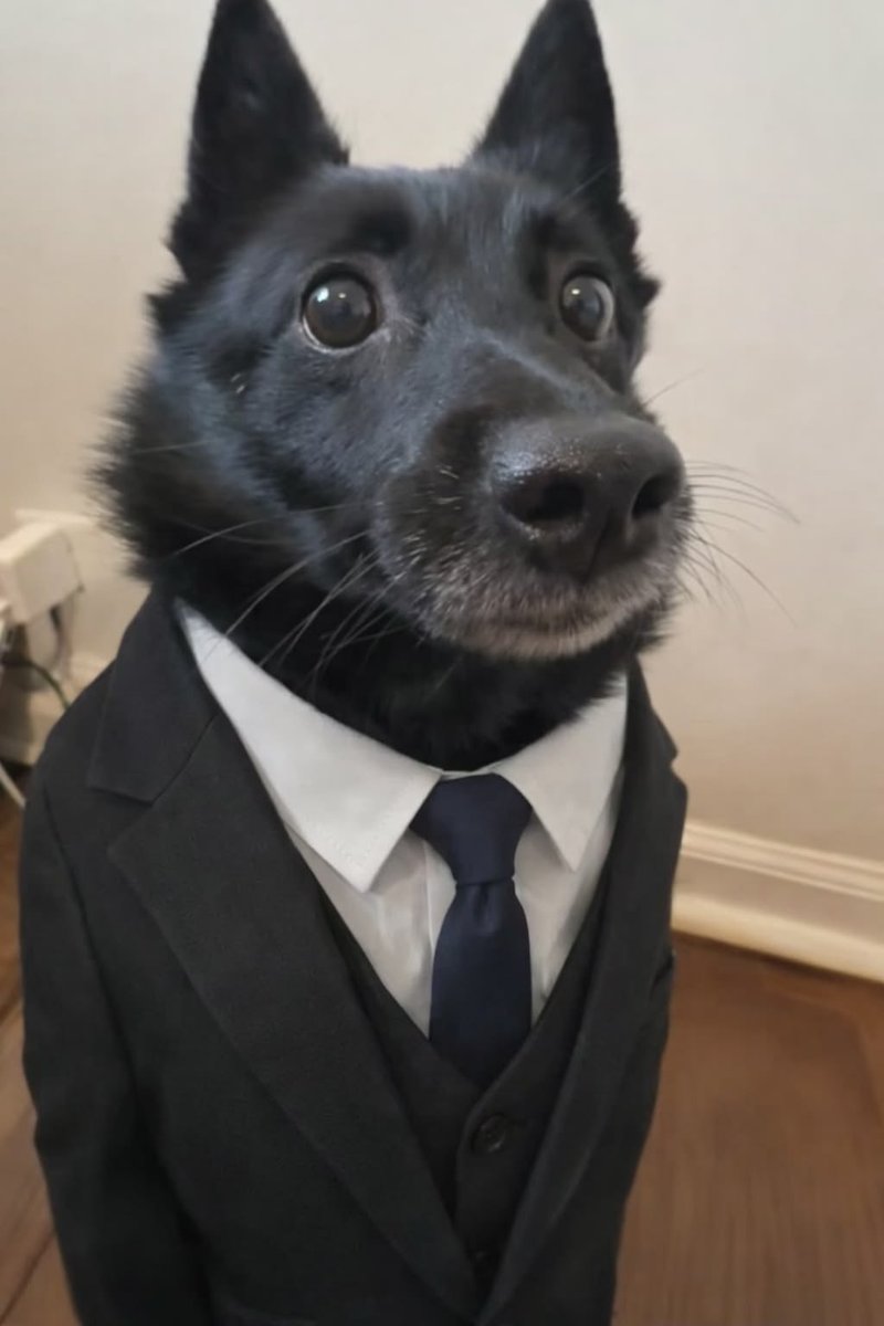 twaniimals's tweet photo. https://t.co/ZmDY0SKXcR