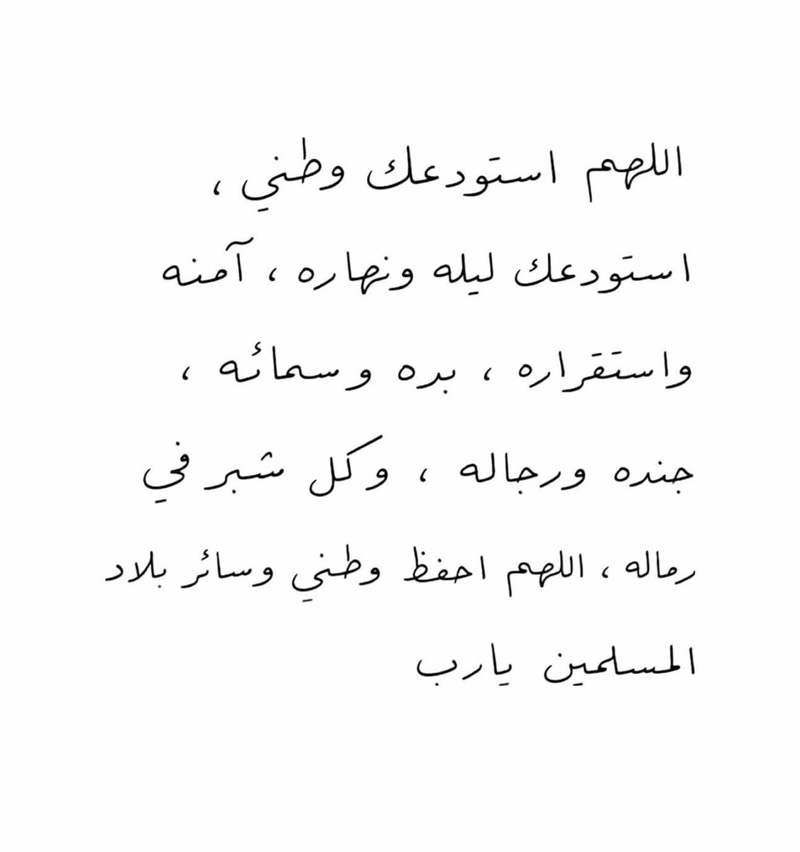 Maha Alqattan 🌷🐎 tweet media
