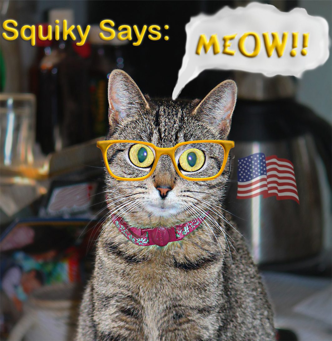 Ron11366's tweet photo. @GuntherEagleman 😺🇺🇸😺 https://t.co/EhM8serWXg