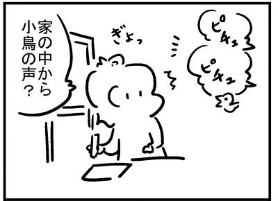 ブログ更新!「家の中に…!?」
https://t.co/O6YbU3EpPs 