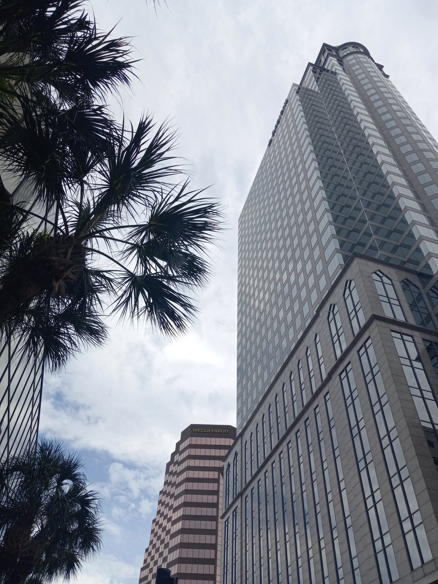 TampaWINNER's tweet photo. #Florida #DowntownTampa #Tampa #PhotoWalk #Tampaphotography #NaturePhotography #photographylife #photography #streetphotography
#DiscoverTampa #ExploreTampa #EverydayTampa #TampaLife #TheStreets https://t.co/0J2xAHgVeO