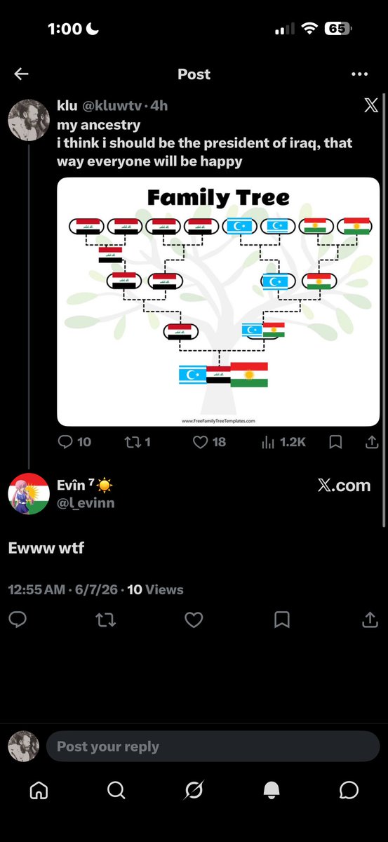 kluwtv's tweet photo. loads of kurds are hating on me because of my turkmen and arab ancestry (i am paternally kurdish so it’s what i identify with). i find this surprising, turks and arabs would be proud with the fact of turkification and arabization, seems that kurds are quite the opposite https://t.co/2Vm16m74cA