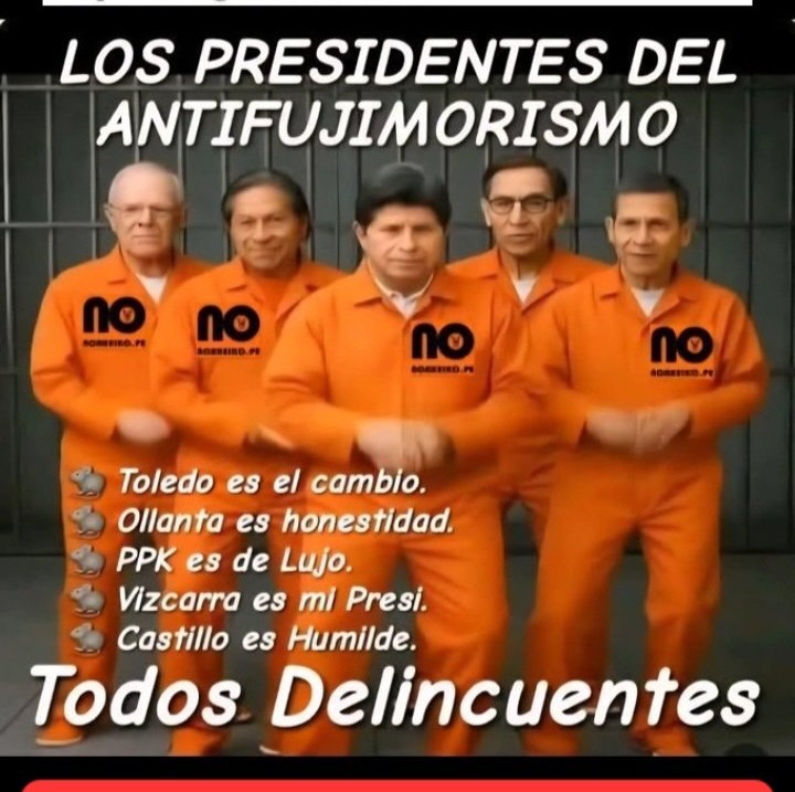 Pienso Libre tweet media