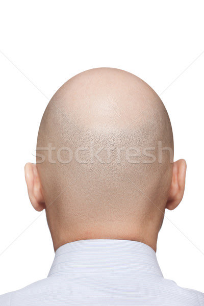 Gus 🧞♂️ tweet media