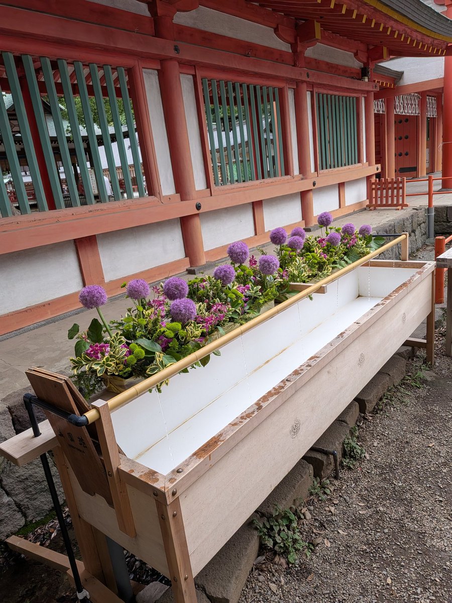 HomePlusSupport's tweet photo. #氷川神社
#神社巡り
#御朱印
#御朱印帳 https://t.co/l7UEpXxzN2