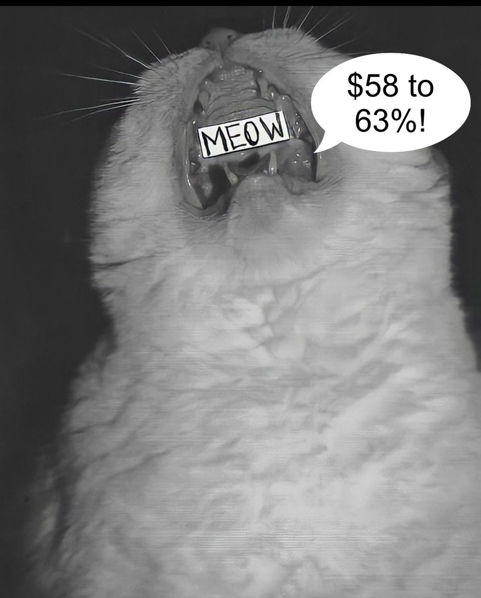 LoisAceLane's tweet photo. Only $58 left to reach 63% today. https://t.co/B28dvb5mha