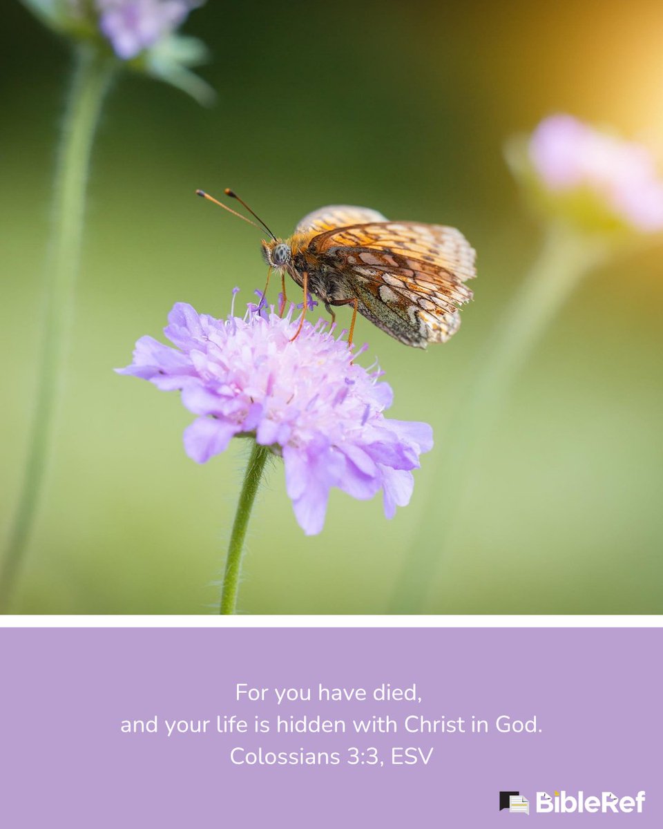 BibleRefCom's tweet photo. Since believers have "died" to sin, in the sense of being separated from it, the believer's life is "hidden," or "contained" within Christ. 

Read the rest of the article at https://t.co/5gEJjnBJHG https://t.co/MbjK873BOu