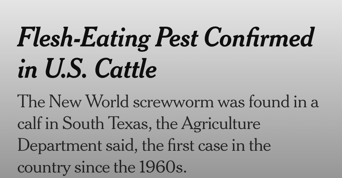 SlantedJudgment's tweet photo. @MemeRetire check this OG $Screwworm  OUT https://t.co/H21KBiUFYG