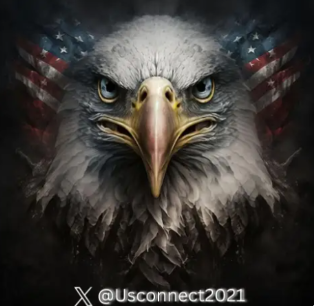 USConnect tweet media