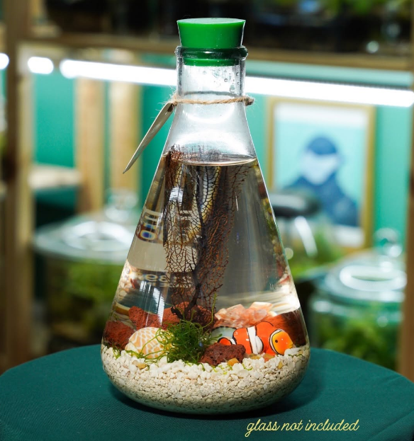 3amart's tweet photo. Y'all, I have been watching videos for the past hour on this amazing shrimp ecosystem. The maker @pmterrariumco isn't active on X, but should be! Check this out!!!! https://t.co/Ijvq8e07Zx
Here are a few different set ups I have seen from different folks including Andrea Nelson Art (@ADreamOrADayArt) and @INdianFishGuyy