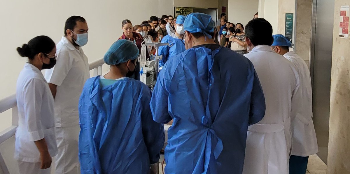 IMSSColima's tweet photo. 💙 Un sí puede cambiarlo todo.
En el #DíaMundialDeLasPersonasTrasplantadas reconocemos a las familias donadoras que, con su generosidad, brindan una nueva oportunidad de vida. ✨
Donar órganos y tejidos es un acto de amor que trasciende y transforma vidas.
#DonaciónDeÓrganos https://t.co/XcofgyU671