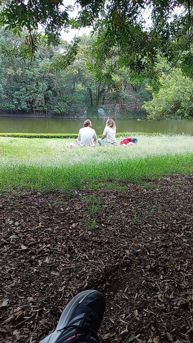 NancyCanela4's tweet photo. @ChapultepecCDMX Unos gringos están fumando en el largo mayor del lado de la purrua. Ya se les dijo pero sacaron más https://t.co/SWNDsrbH3k