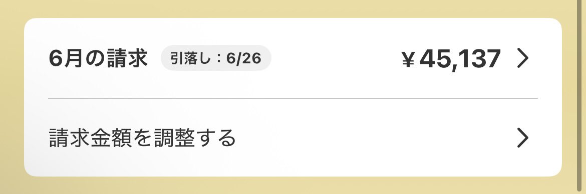 th_ms3's tweet photo. 20万円も使った記憶ないのに
でも明細見たら記憶蘇った https://t.co/MPEM6mpU6S
