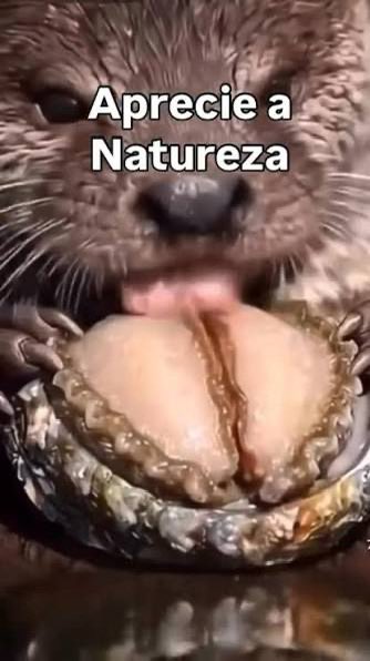 CipherGaze's tweet photo. @NathyhVR Voy 👅 https://t.co/icfRce6VSR