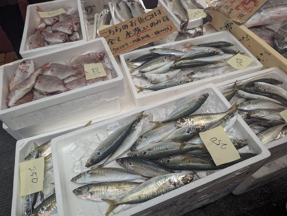 ArturGalata's tweet photo. 琴平にある魚市場、めっちゃ魚も綺麗だし、なにより安い！！！！刺身！！煮付け！！天ぷら！！アラ汁！！いっぱい作りたい！！！！！！！！！！ママ〜！！！！！琴平が最高だよぉぉぉぉぉ！！！！！！！！！！！ https://t.co/zup7ScqK5N