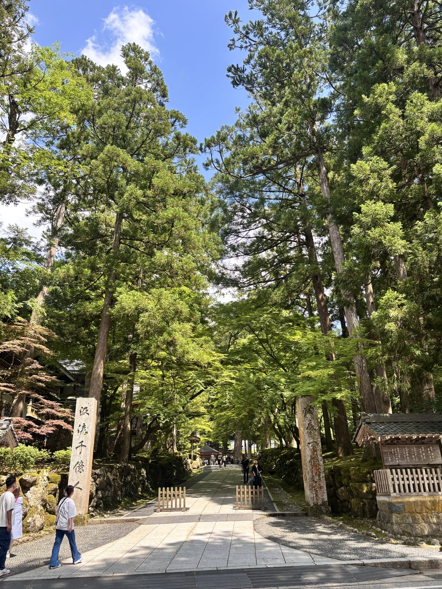 nitijoy2's tweet photo. 福井旅行に来ましたよ〜！
楽しいです！いっぱい食べました🦀 https://t.co/yXaD7opSWt