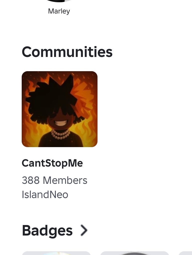 Islandneofr tweet media