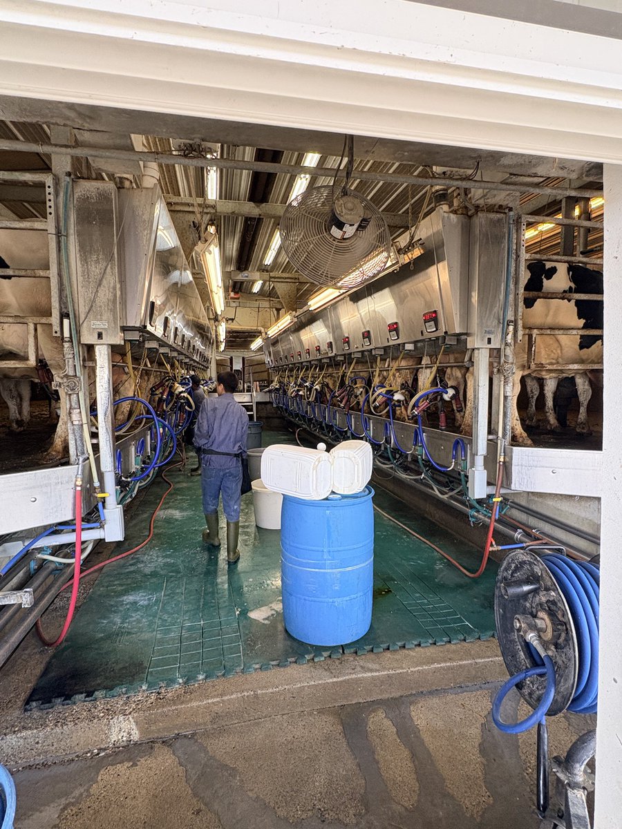 LoganBreuer3's tweet photo. Live radio from the farm yesterday for June Dairy Month. Shoutout to the cows. 🫡 https://t.co/nT0yE3942O