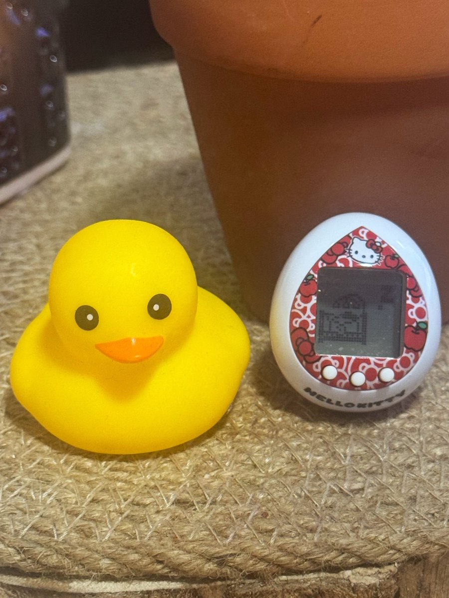 BelsaNakkai's tweet photo. 🥹❤️ https://t.co/8pfNabeVTP