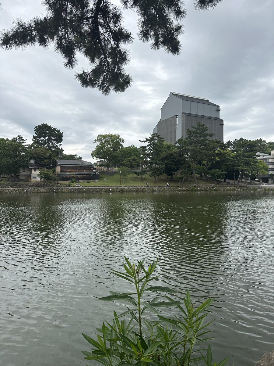 HiS_YM's tweet photo. おはようございます。
ぽつぽつと雨が降り始めた奈良です。
猿沢池周辺でお鹿たちを見かけない朝…と思いきや、駅までの道で、少年鹿たち町を徘徊中。大人しくお山へおかえり。

雨で今日の予定が変更になり、最後の最後に滑り込みで奈良博に行けそう。
今年は唐招提寺へは難しいかな

今日もご安全に https://t.co/HGvG2hghG0