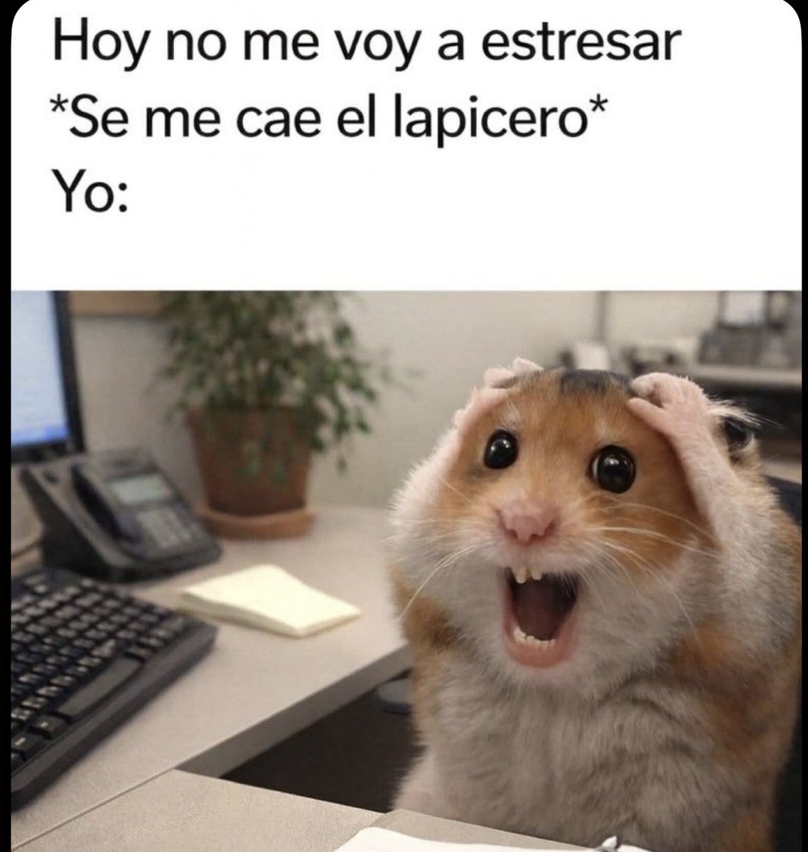AlejFdezz's tweet photo. Y si… 🤣🤣 https://t.co/UUXiwM7vxd