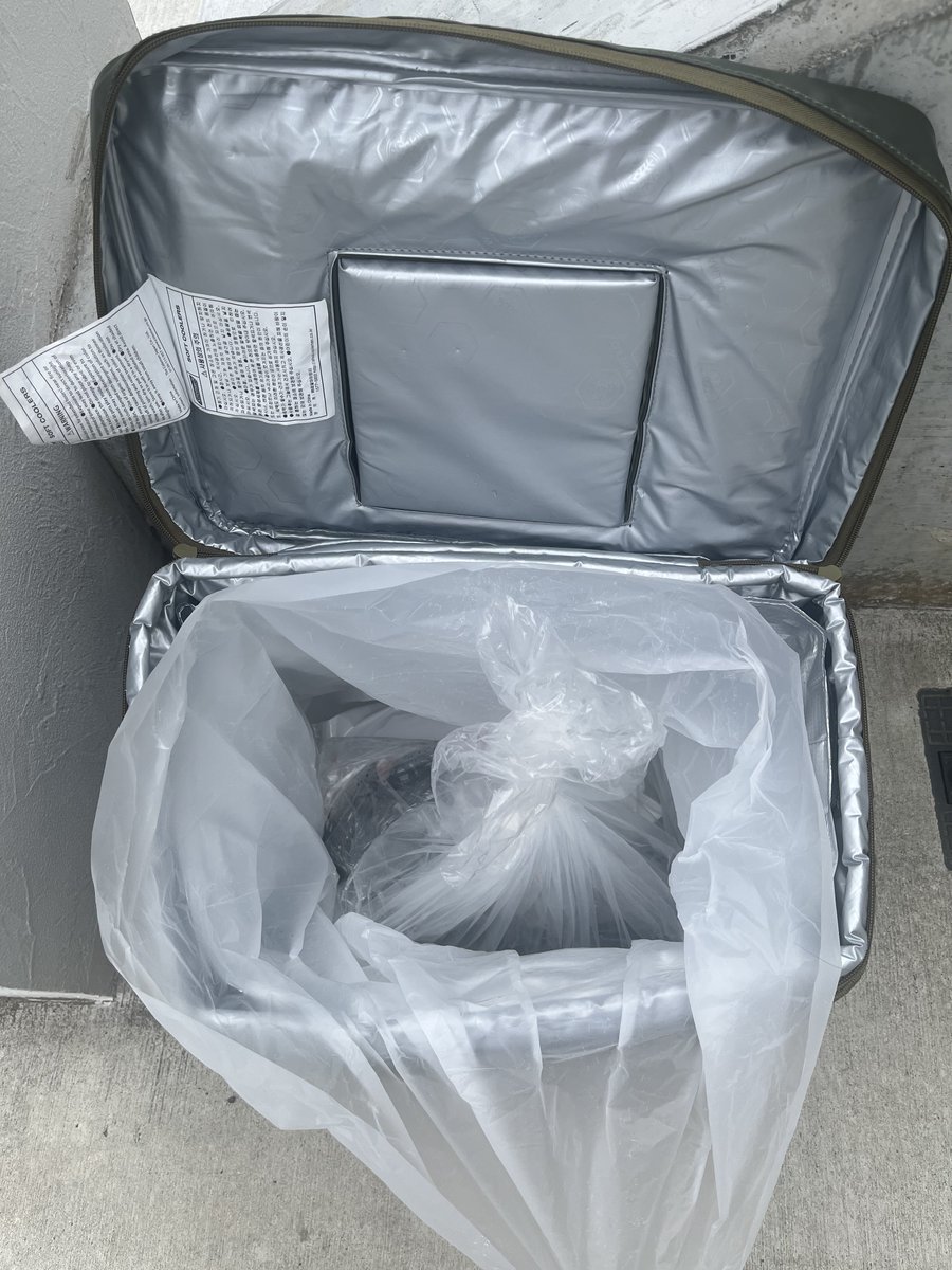MODELFT5's tweet photo. 夜クーラーボックスを家先に出してロック氷入れてすやすや寝てみたら、朝起きたら池サンタからの贈り物(41cmメジナとオナガとイサキ)が届いてましたありがとう🎅🙇

それにしても立派や🐟 https://t.co/58kK2EjUmI