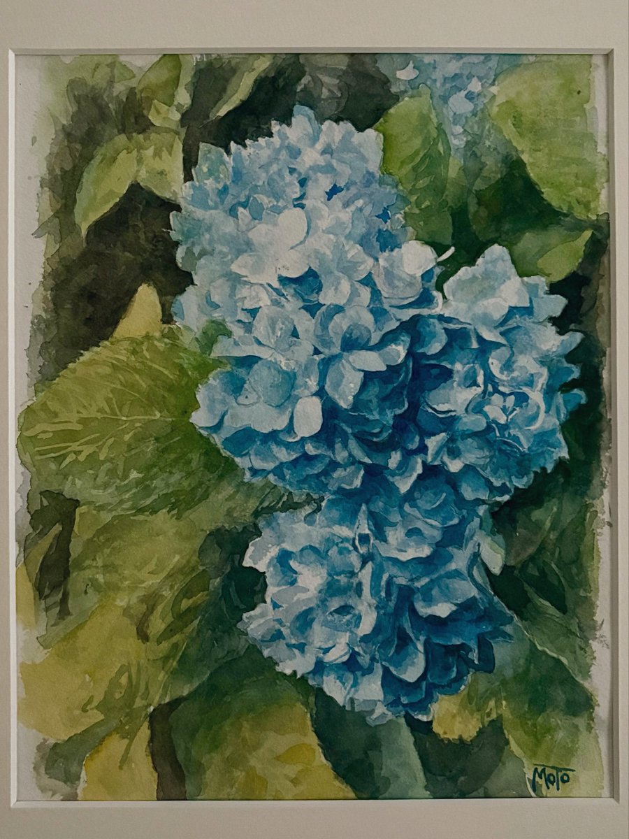 BkMoto's tweet photo. #紫陽花　#水彩　#watercolor  
水彩で描いたあじさいの花🖼️ https://t.co/ZmDsPyHNIL