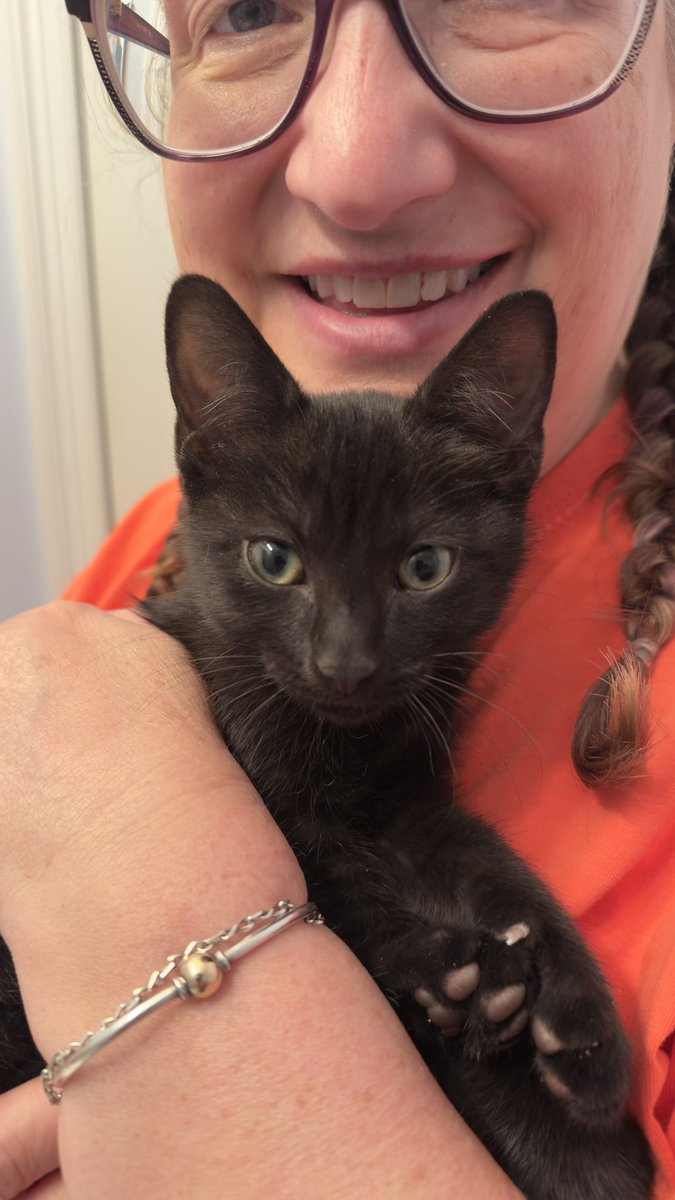 brianarsenault's tweet photo. @AnnaDsays @BuckWilde_ So I probably shouldn’t show you pics of this little fur missle we picked up this morning… https://t.co/NhdaTQumYJ