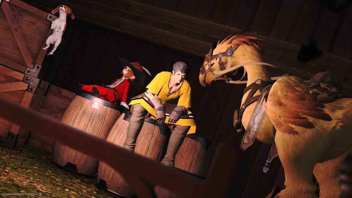 Colkcocaff14's tweet photo. うんうん
あーそれはチョコボくんが悪いわ

#FF14 #おはララ https://t.co/NxygYvc5l1